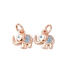 Brass Micro Pave Cubic Zirconia Pendants ZIRC-E124-68RG-1-1