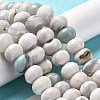 Natural Dyed Agate Imitation Turquoise Beads Strands G-P425-01B-01A-4