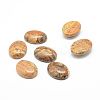 Natural Picture Jasper Gemstone Cabochons G-T020-8x10mm-12-1