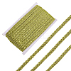 Metallic Polyester Braided Lace Trim OCOR-WH0108-20B-1