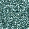 MIYUKI Delica Beads SEED-X0054-DB1767-3