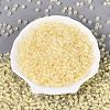FGB Grade A Transparent Glass Seed Beads SEED-Q040-03A-10-3