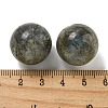Natural Labradorite Round Ball Figurines Statues for Home Office Desktop Decoration G-P532-02A-33-3