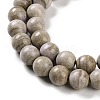 Natural Rainbow Alashan Agate Beads Strands G-NH0022-A09-02-4