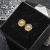 304 Stainless Steel Stud Earrings for Women STAS-Z117-14G-02-2