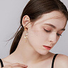 8 Pairs 8 Style Transparent Resin & Walnut Wood Stud Earring RESI-FH0001-43-5