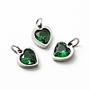 304 Stainless Steel Pendants STAS-D189-06P-10-1