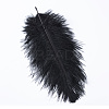 Ostrich Feather Costume Accessories FIND-R036-A-07-1