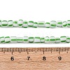 Handmade Lampwork Beads Strands BLOW-K001-01A-18-3