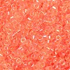 Glass Seed Beads SEED-S042-13A-06-3