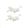 Tarnish Resistant 304 Stainless Steel Pendants LS-STAS-M220-08-1