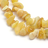 Natural Yellow Opal Beads Strands G-P332-36-2