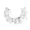 Chinese Zodiac Natural Quartz Crystal Carved Beads G-D300-01E-2