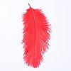 Ostrich Feather Costume Accessories FIND-R036-A-12-1