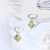 1Pair Alloy Hoop Earrings EJEW-LP0008-041-3