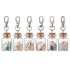 Natural Lapis Lazuli/Amethyst/Carnelian/Citrine/Rose Quartz/Amazonite Chip & Shell Beads inside Glass Wishing Bottle Pendant Decorations HJEW-JM03220-2