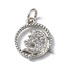Brass Micro Pave Cubic Zirconia Charms ZIRC-F131-02P-1