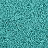 TOHO 11/0 Round Beads SEED-JPTR11-0055-2