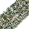 Natural Freshwater Shell Beads Strands BSHE-H018-07C-1