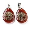 Natural Carnelian(Dyed & Heated) Teardrop Pendants G-Q175-01B-1