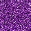 MIYUKI Delica Beads SEED-MY11-DB1345-3