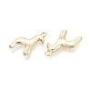 Rack Plating Alloy Pendants PALLOY-T091-34G-2