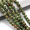 Dyed Natural Regalite/Imperial Jasper/Sea Sediment Jasper Beads Strands G-B124-C01-09-2