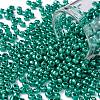 8/0 Glass Seed Beads X-SEED-A017-3mm-1118-1