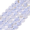 Natural Blue Lace Agate Beads Strands G-NH0001-E01-01-2