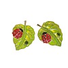 Leaf with Ladybug Alloy Enamel Stud Earrings FS-WG8EF19-02-3
