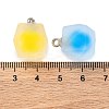 Frosted Resin Polygon Pendants RESI-U002-10-3
