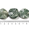 Natural Green Spot Jasper Beads Strands G-Z061-B08-02-5
