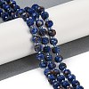 Natural Sesame Jasper Dyed Beads Strands G-H057-A21-04-2