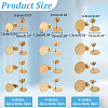 24Pcs 12 Style 304 Stainless Steel Ear Stud Findings STAS-AR0002-02G-2