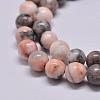 Natural Pink Zebra Jasper Beads Strands G-P231-01-10mm-1