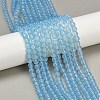 Baking Paint Glass Beads Strands LS-DGLA-Q023-10mm-DB46-1