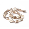AB Color Plated Natural Freshwater Shell Beads Strands X-BSHE-G033-03B-2