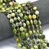 Natural Serpentine Beads Strands G-C116-A14-02-1