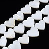 Natural Freshwater Shell Beads Strands SHEL-N027-21-1