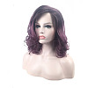 Fluffy Curly Ombre Ladies Wigs OHAR-L010-048-4