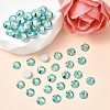 Preciosa® MAXIMA Crystal No Hotfix Flatback Stones Y-PRC-NSS10-50005-200-2