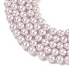 Electroplated Shell Pearl Beads Strands BSHE-G041-4mm-06-3