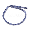 Handmade Lampwork Beads Strands LAMP-Q037-02B-12-2