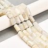 Natural White Moonstone Beads Strands G-G068-A36-01-2