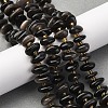 Natural Obsidian Beads Strands G-RM250109-A5-1