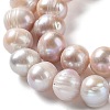Natural Cultured Freshwater Pearl Beads Strands PEAR-E019-14-3