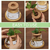 Glass Planter Vase with Wooden Lid and Bamboo Stand AJEW-WH0554-97-4