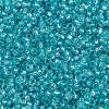 MIYUKI Round Rocailles Beads SEED-JP0010-RR0647-3