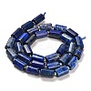Natural Lapis Lazuli Beads Strands G-G068-A13-01-3