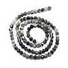 Natural Hawk's Eye Beads Strands G-P457-A03-06-3